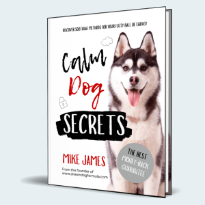 Bell Training Secrets + 60-Day Money-Back Guarantee