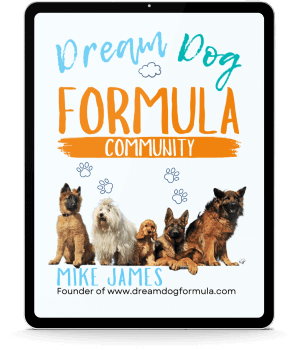 Dream Dog Formula Community