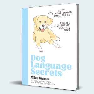 Dog Language Masterclass + 60-Day Money-Back Guarantee