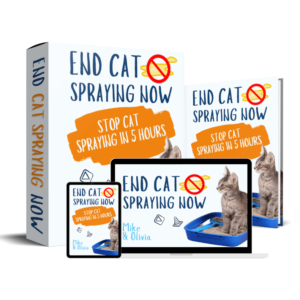 X Why Cat Food is Killing Your Cat and How to Avoid it