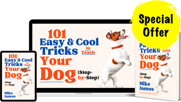 101_Tricks_Bundle_2_SD
