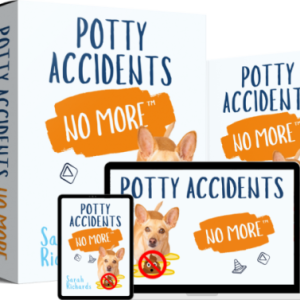 The 7-Step Potty Training Success Checklist