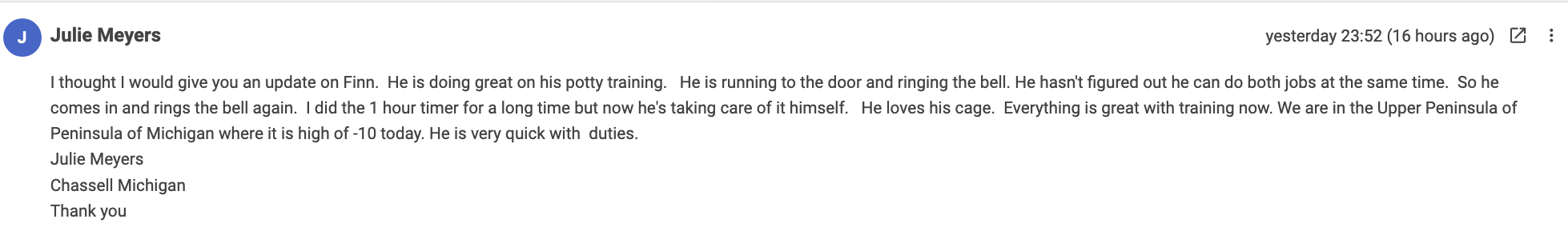 Potty Accidents No More Review Julie Meyers